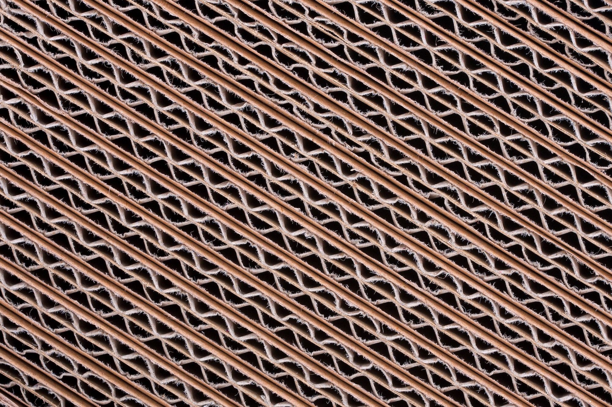 Cardboards, a background